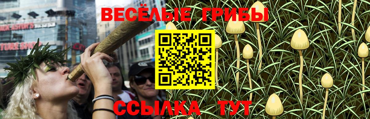 Галлюциногенные грибы Psilocybine cubensis  Вход с VPN  Тайшет 