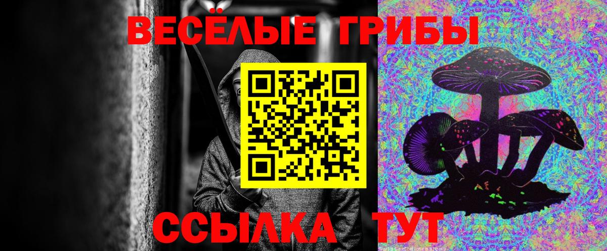 Галлюциногенные грибы ЛСД Тайшет